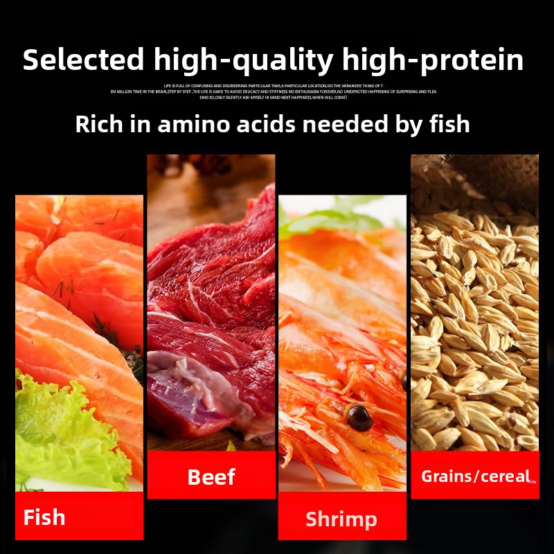 サンサン 錦鯉 観賞魚 金魚用飼料 高スピルリナ配合 色彩強 - Aquarium Blue Marine Reef 60 のレビューと価格